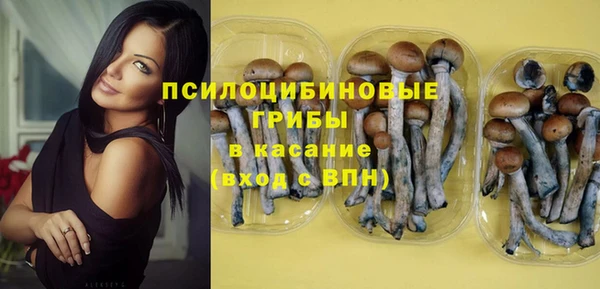 тгк Армянск
