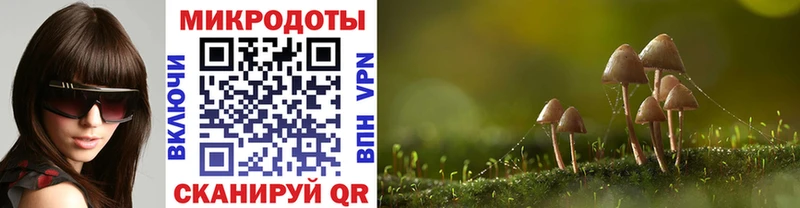 Галлюциногенные грибы прущие грибы  Купить закладки  Ирбит 